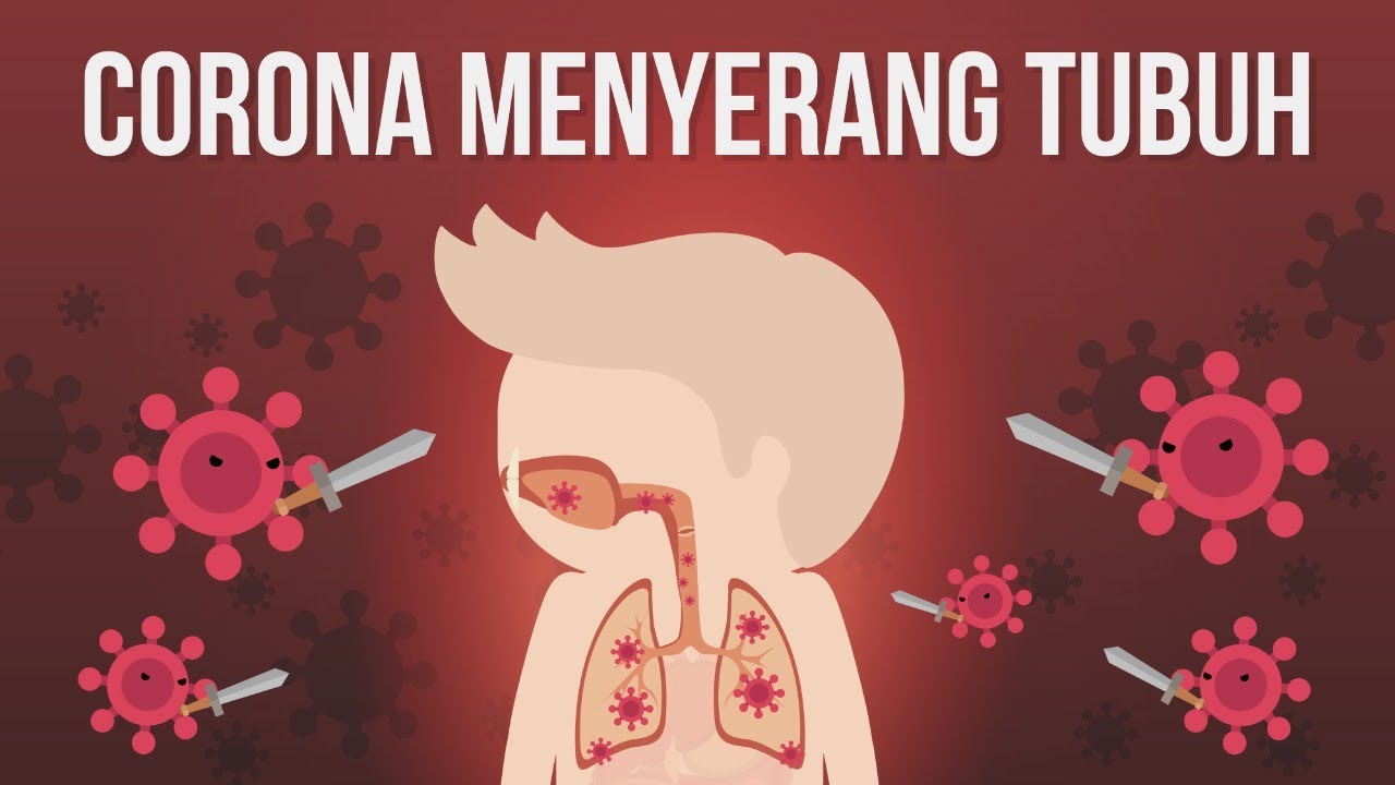 Inilah Cara Virus Corona Menyerang Organ Tubuh Kita