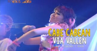 Via Vallen Hits – Cabe Cabean (Official Music Video Aneka Safari Youtube)