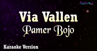 Via Vallen – Pamer Bojo (Karaoke Version Video Youtube)