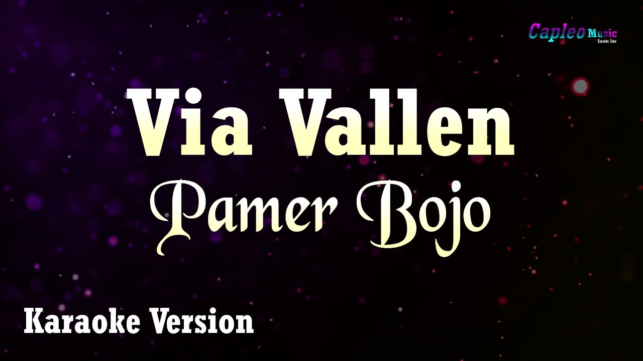 Via Vallen – Pamer Bojo (Karaoke Version Video Youtube)