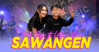Farel Prayoga ft Lutfiana Dewi – Sawangen (Official Music Video Youtube)